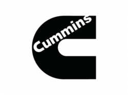 Cummins NV (Fleetguard)